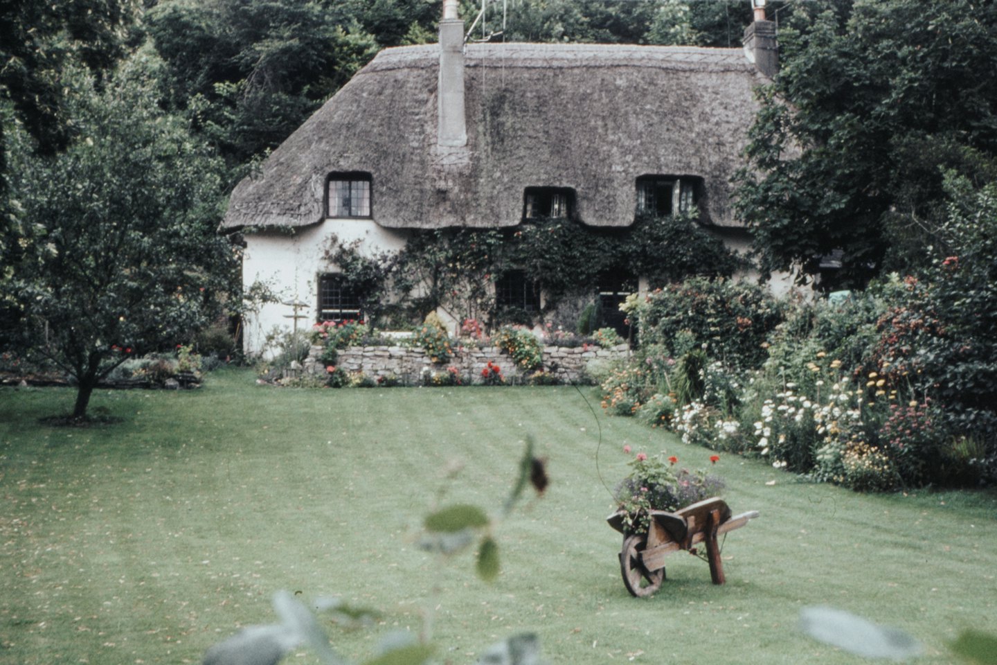 Traditional thatched cottage surrounded by a lush flower garden.
