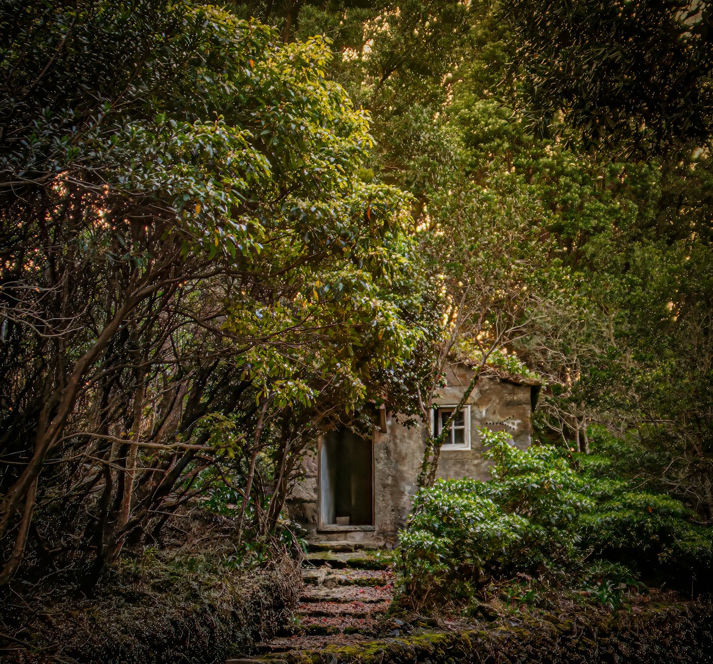 A mossy stone path leads to a rustic cottage.