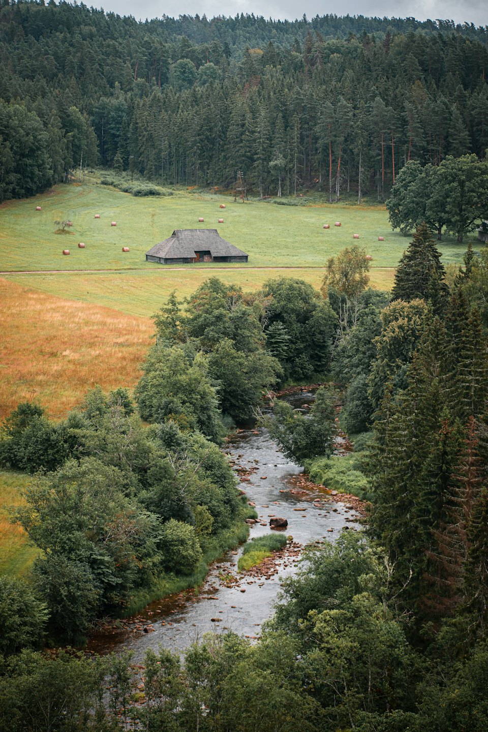 A winding rocky river flows through a lush green valley.